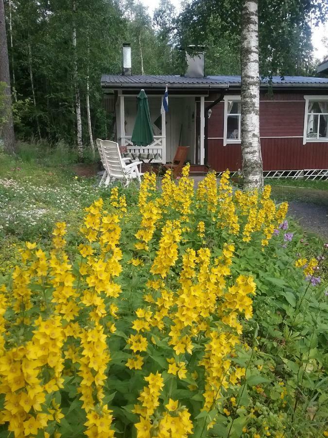 Ilmastoitu Kesaemoekki Askolassa Laehellae Porvoota Zewnętrze zdjęcie